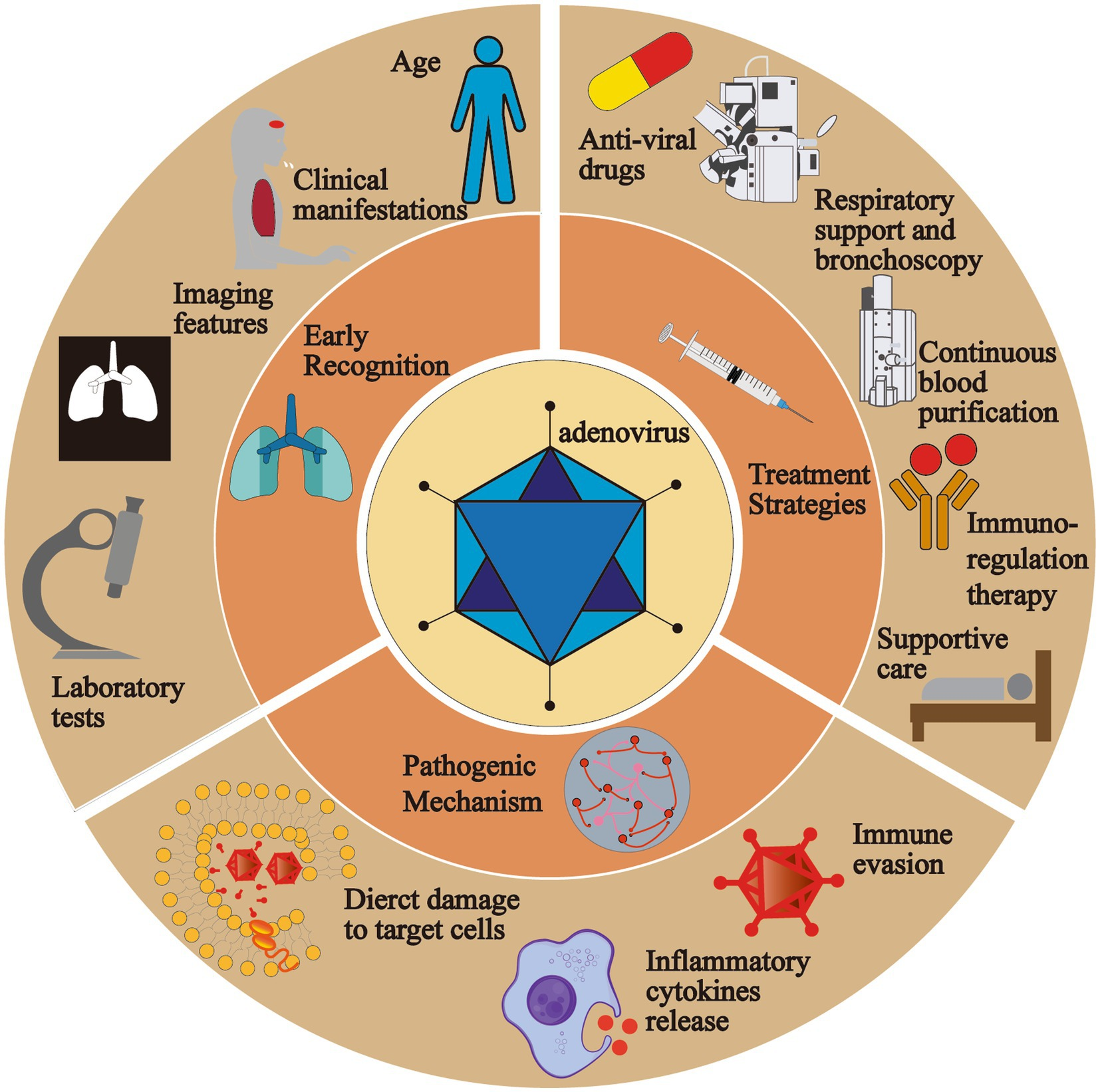 Pediatric adenovirus pneumonia: clinical practice and current treatment