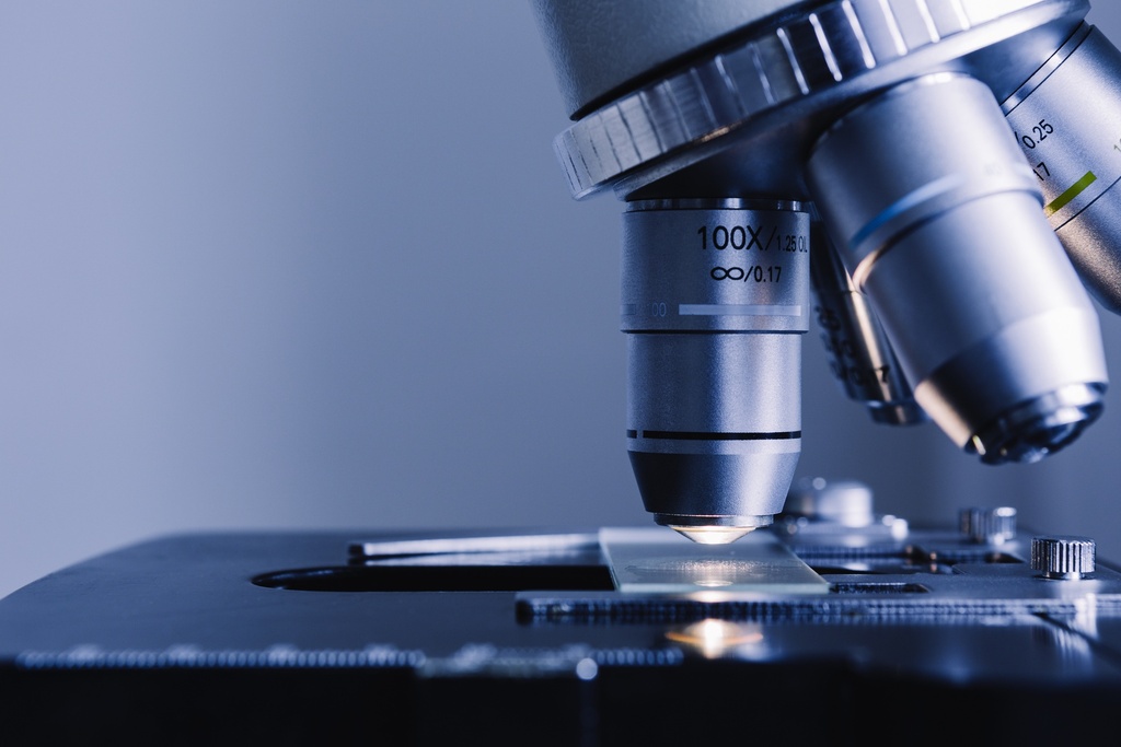 Monkey Skin cDNA   