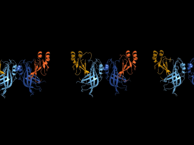 ReadiUse™ TMB Substrate Solution *Optimized for ELISA Assays with HRP Conjugates* - 1 L