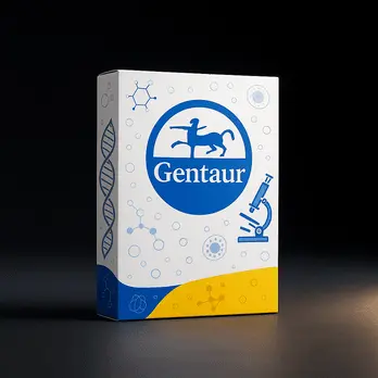 [FM-GVS-B5-48] Genvinset® HLA Celiac Plus